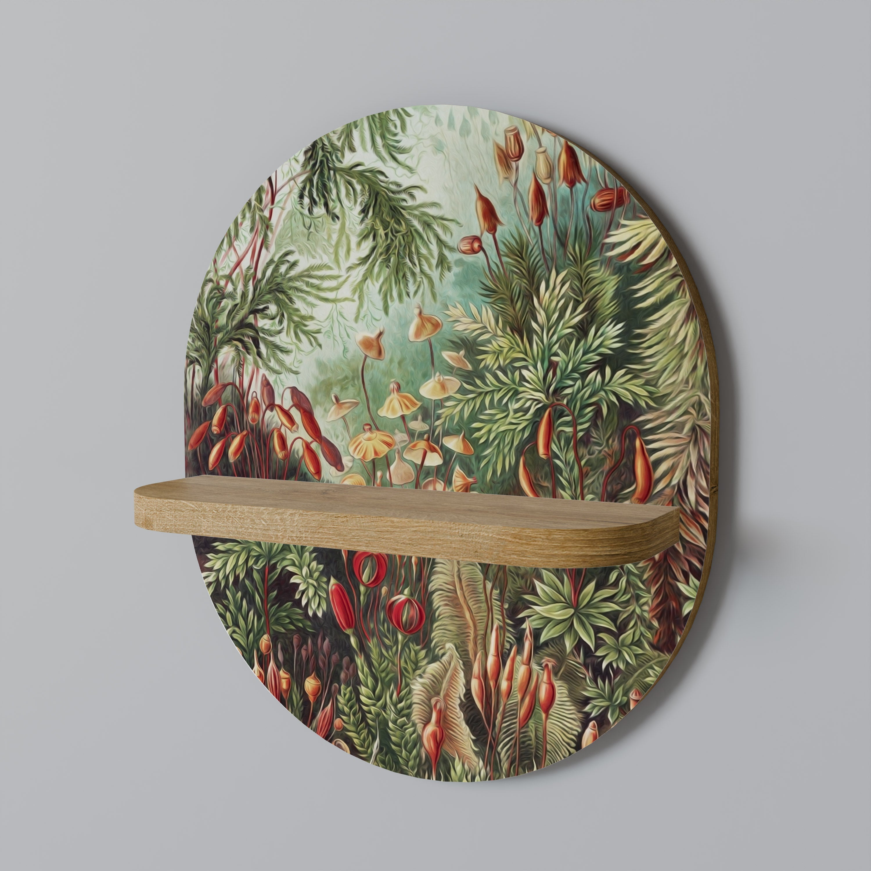 MUSCINAE LAUBMOOSE Oval Art Shelf In Oak Effect