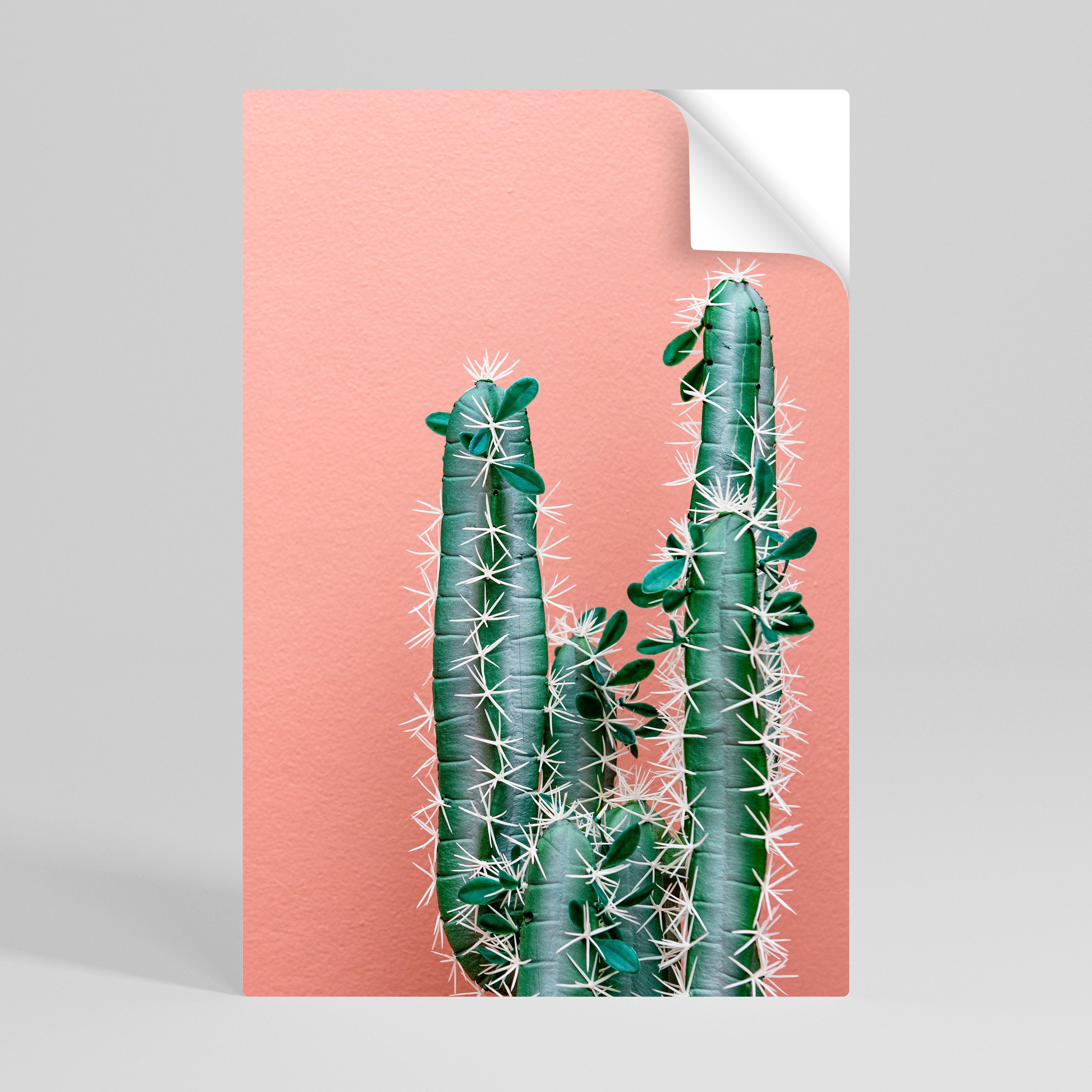Αφίσα LORD CACTUS με θέμα "Ξεφλουδισμένο και κολλημένο"