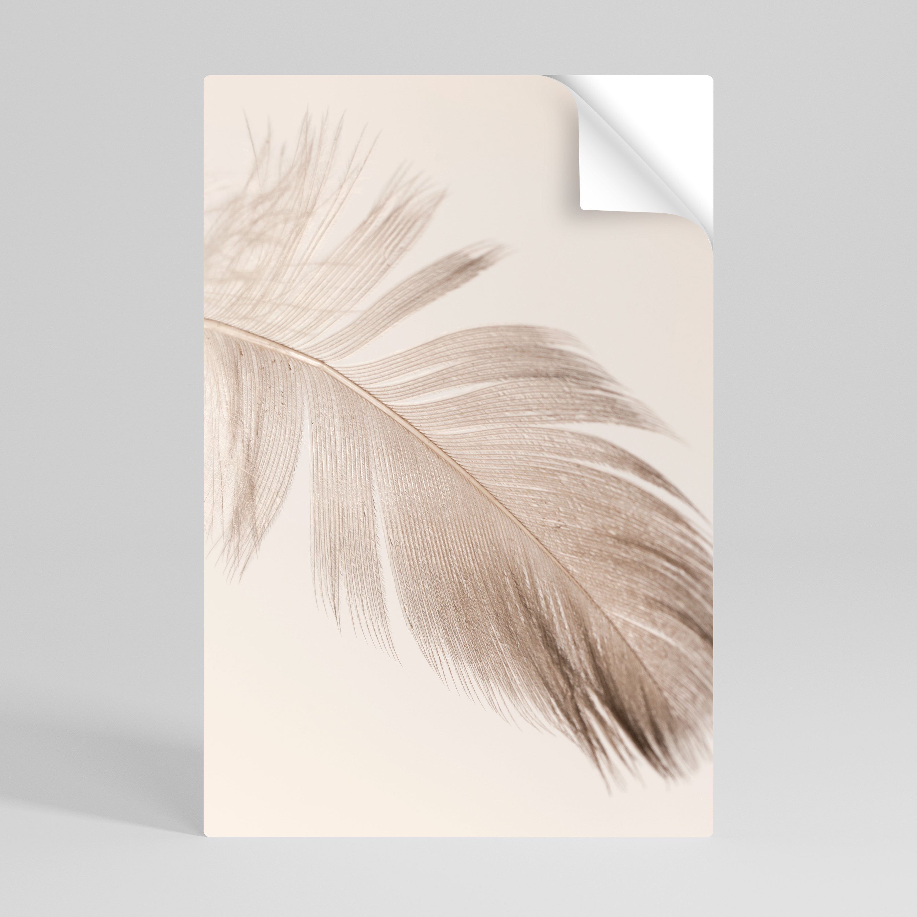 GRACEFULNESS PRECISION Αφίσα με κόλλα και αυτοκόλλητο