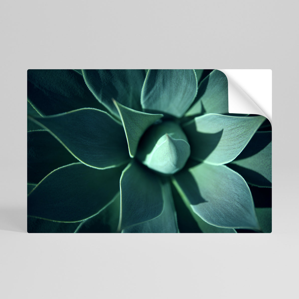 MYSTICAL GREEN WHORL Αυτοκόλλητη Αφίσα οριζόντια
