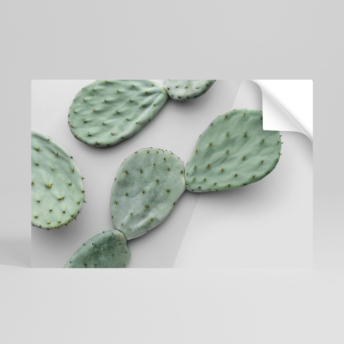 CACTUS DREAMSCAPE Αυτοκόλλητη Αφίσα οριζόντια
