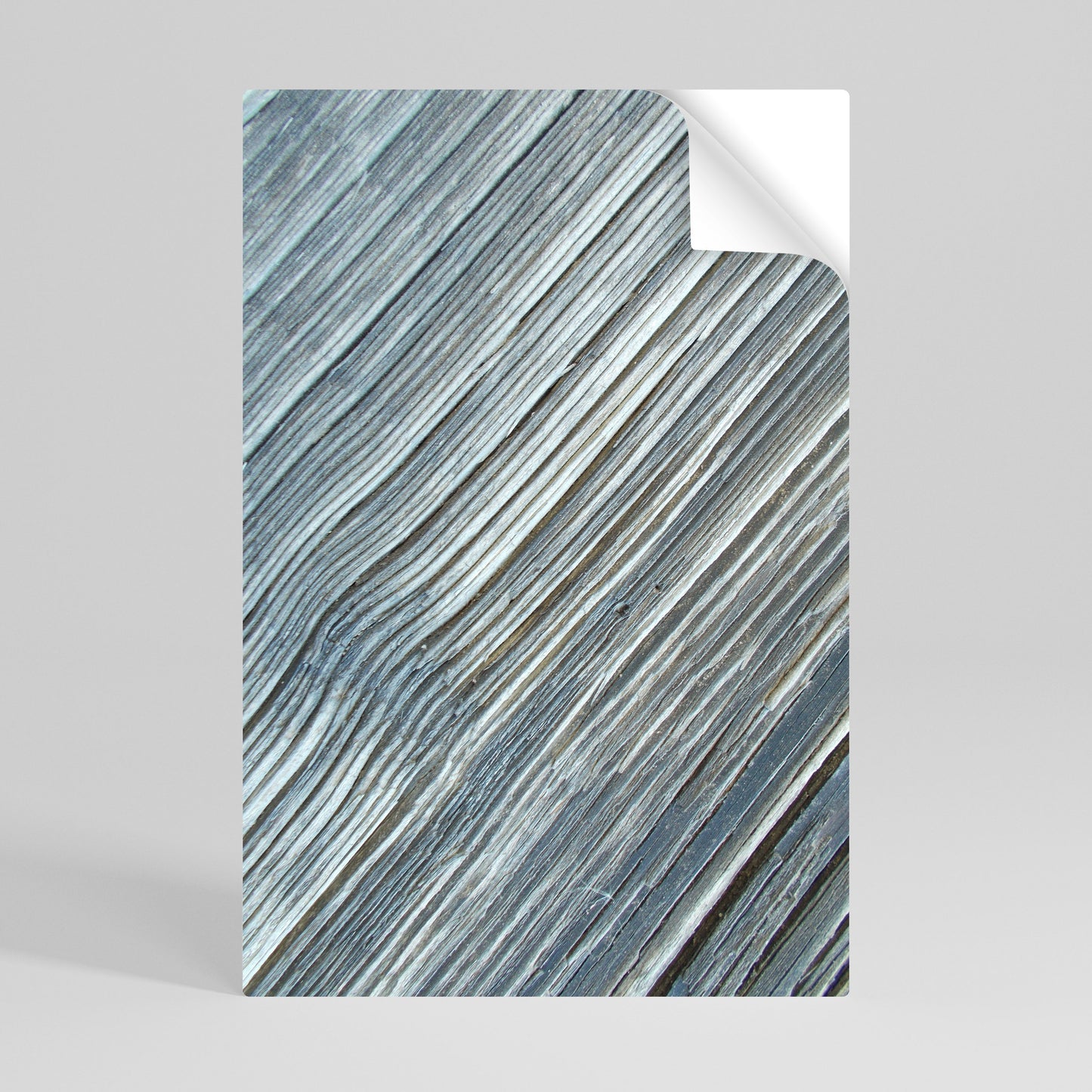 NATURE’S RIBBON RELIC Peel and Stick Vertical Poster