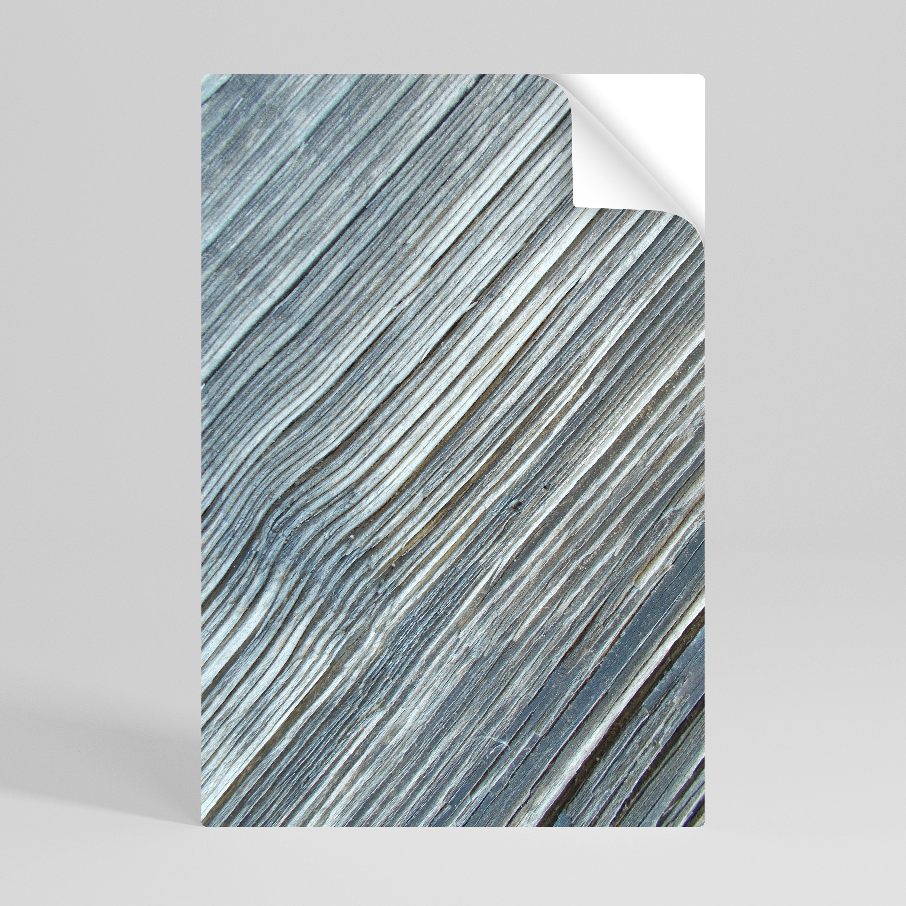 Αφίσα με κάθετη κόλλα NATURE'S RIBBON RELIC