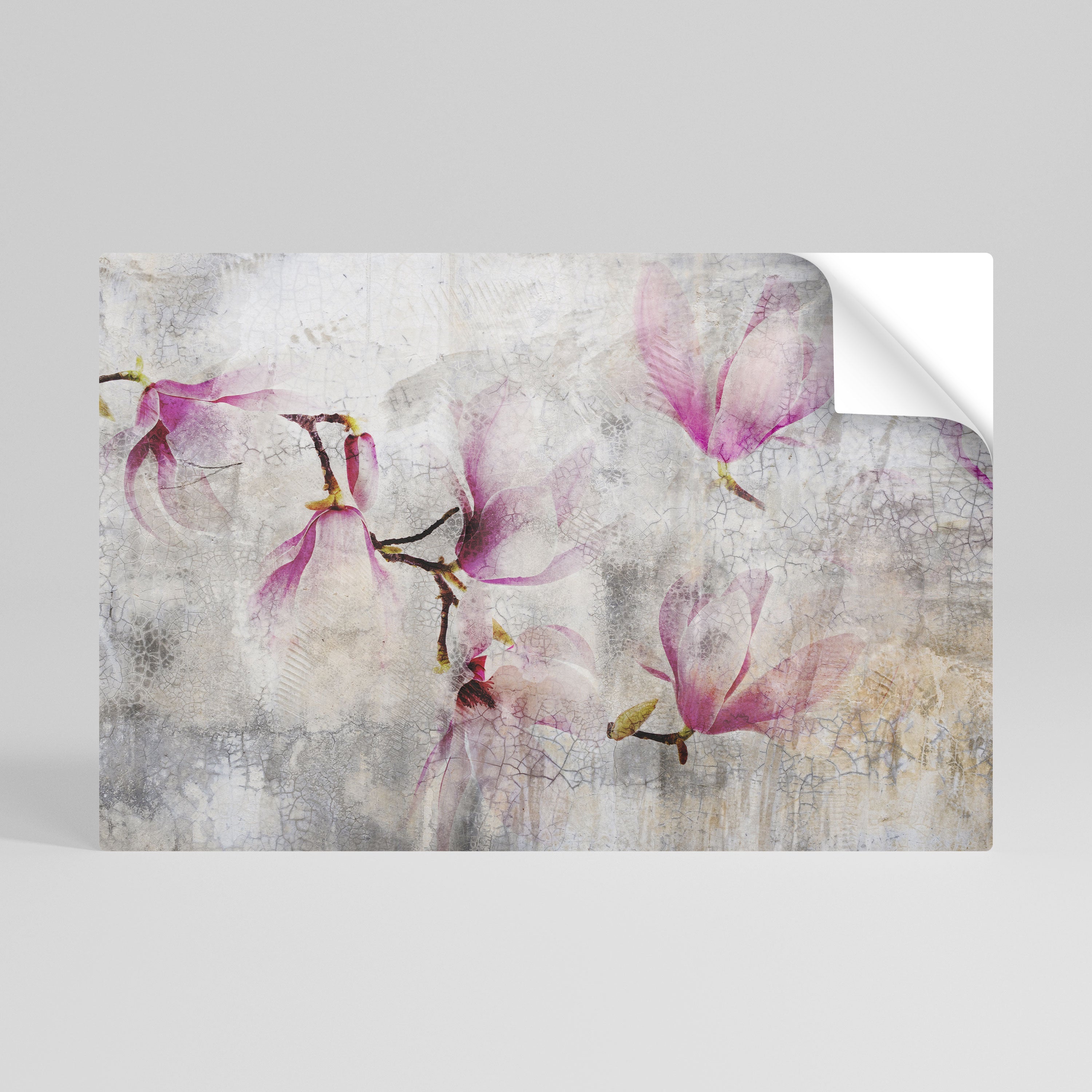 ΕΚΠΛΗΚΤΙΚΗ MAGNOLIA Οριζόντια αφίσα με ξεφλουδισμένο και κολλημένο σχέδιο