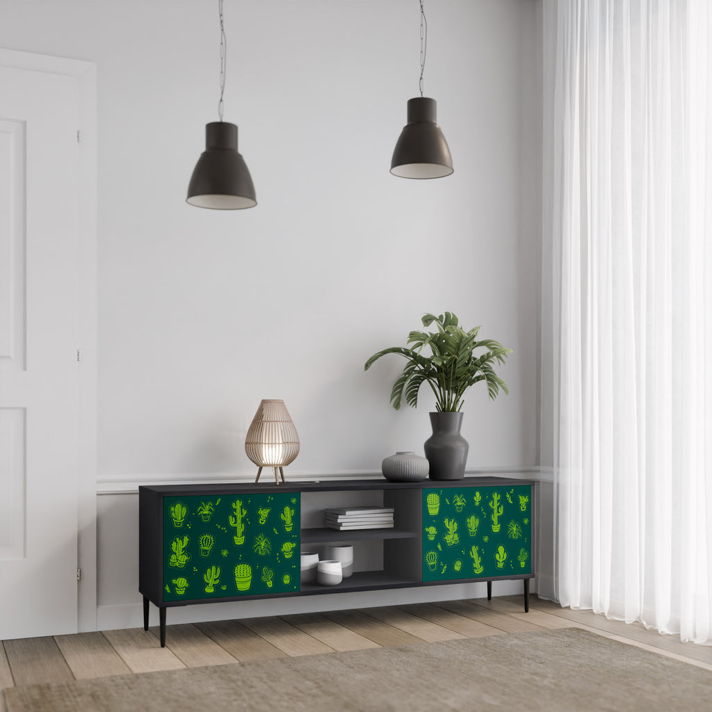 Βάση τηλεόρασης DESERT GREEN με 2 πόρτες σε μαύρο φινίρισμα