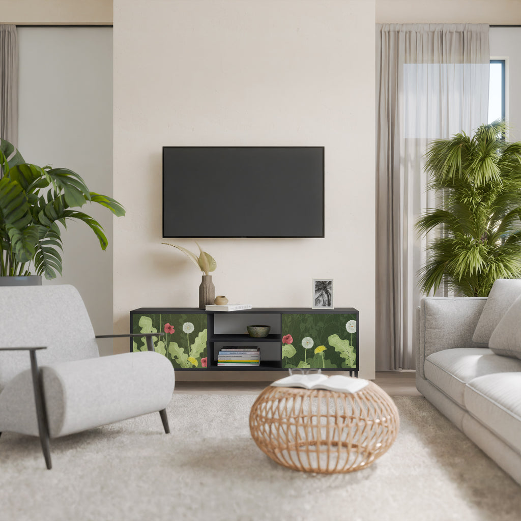 Βάση τηλεόρασης DANDELION AMUSE με 2 πόρτες σε μαύρο φινίρισμα