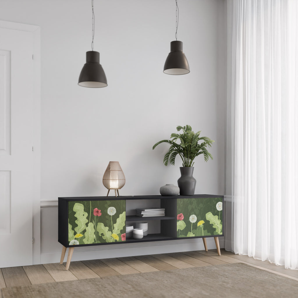 Βάση τηλεόρασης DANDELION AMUSE με 2 πόρτες σε μαύρο φινίρισμα
