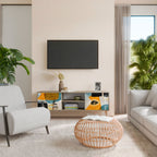 ABSTRACT FACES Έπιπλο τηλεόρασης 2-θυρών