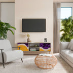 INDEPENDENT BORDER 2-Door TV Cabinet