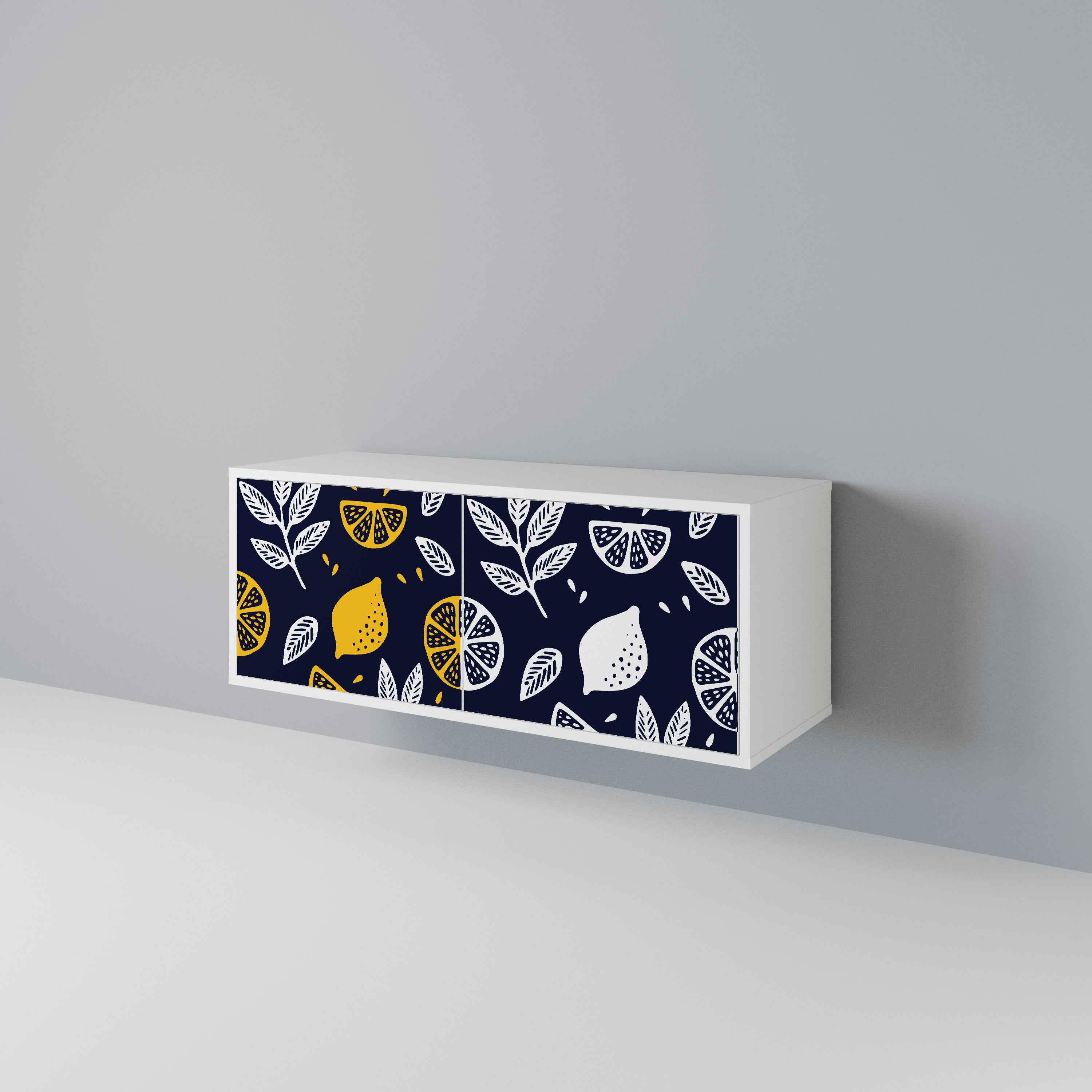 CITRUS BLACK AND WHITE Compact 2-Door TV Cabinet