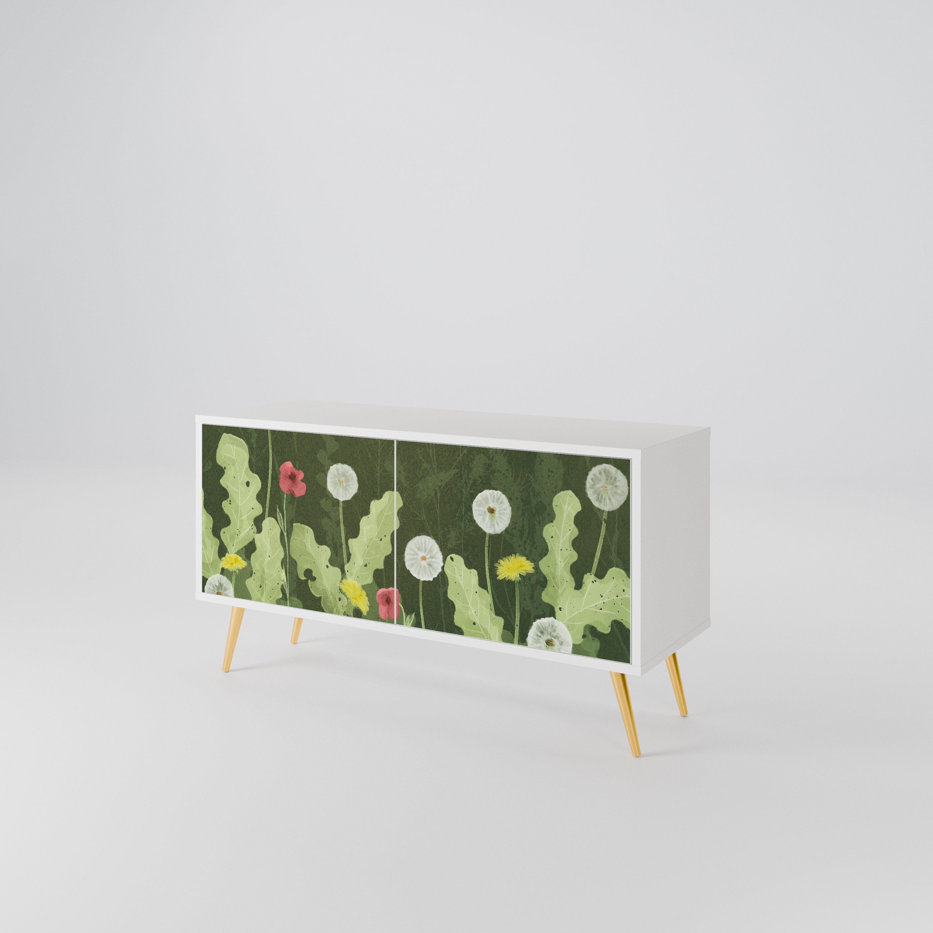 DANDELION AMUSE Compact 2-Door TV Cabinet