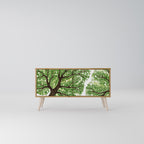 WILDERNESS DASH Compact 2-Door TV Cabinet