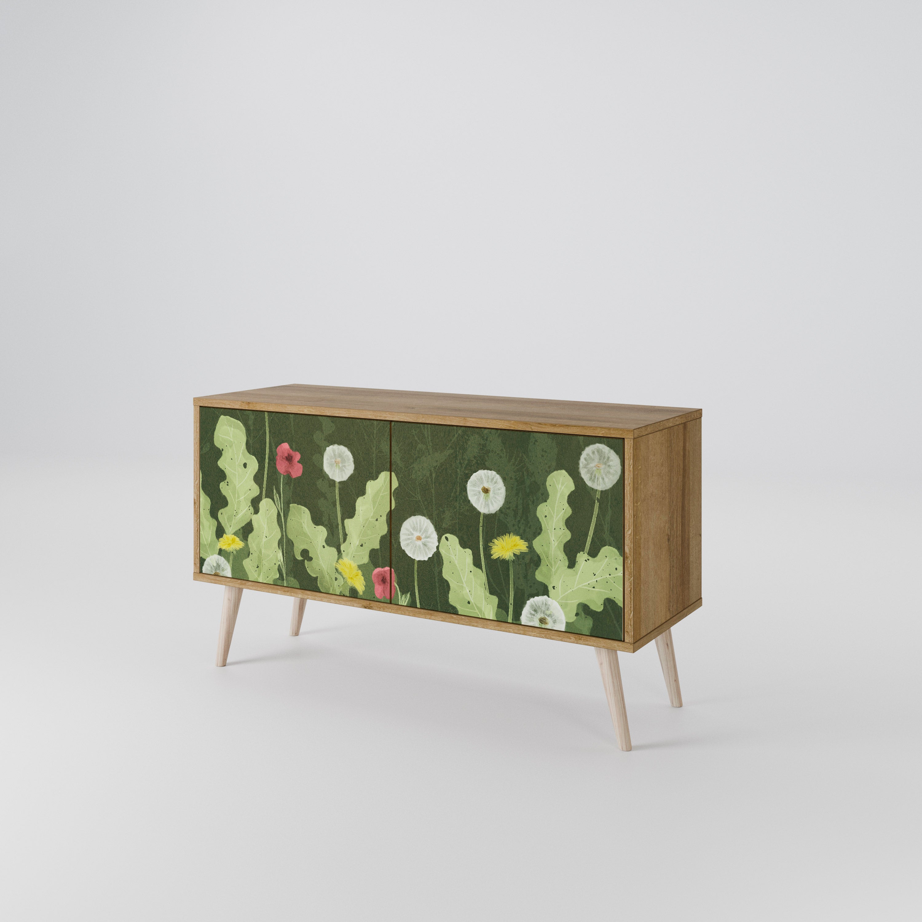DANDELION AMUSE Compact 2-Door TV Cabinet