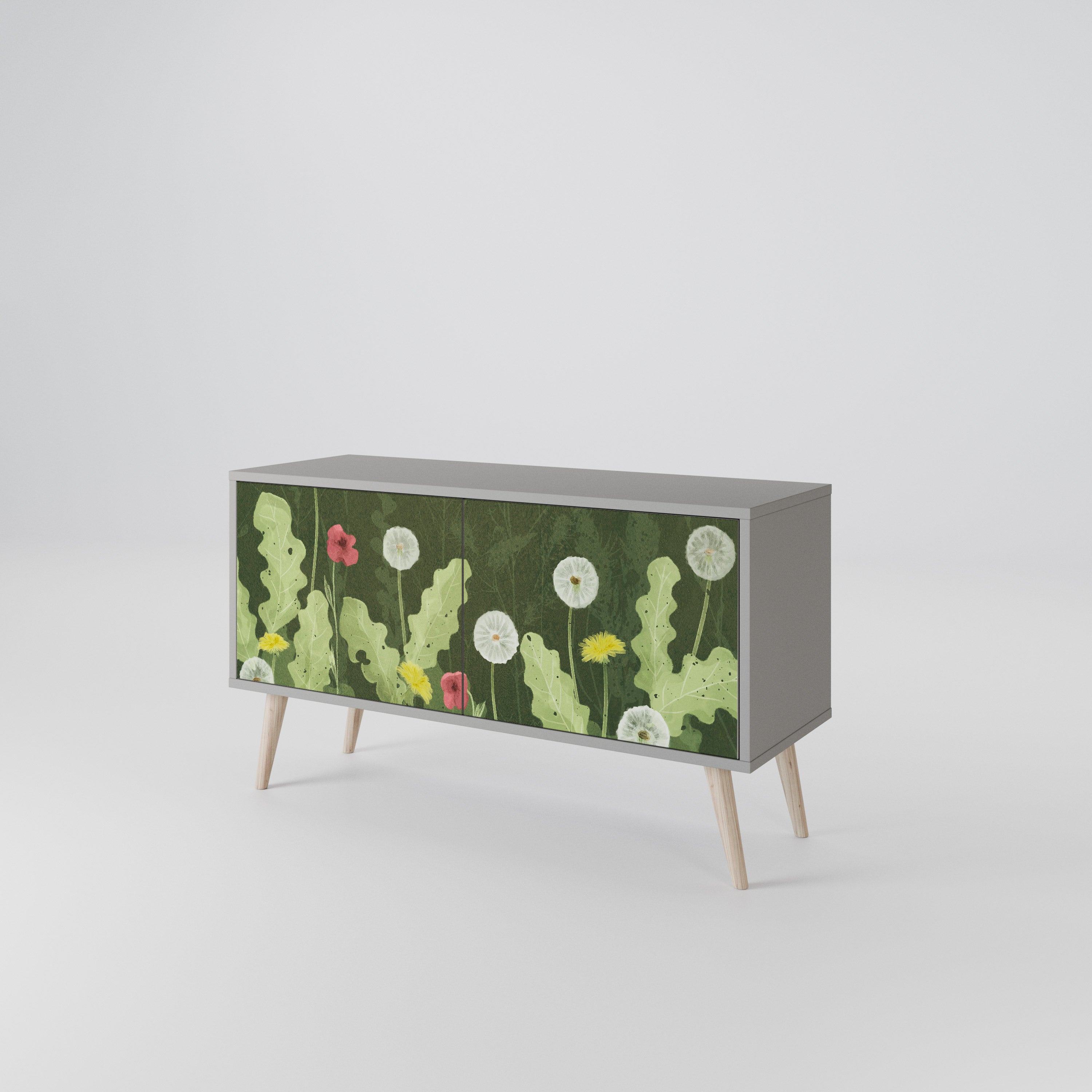 DANDELION AMUSE Compact 2-Door TV Cabinet