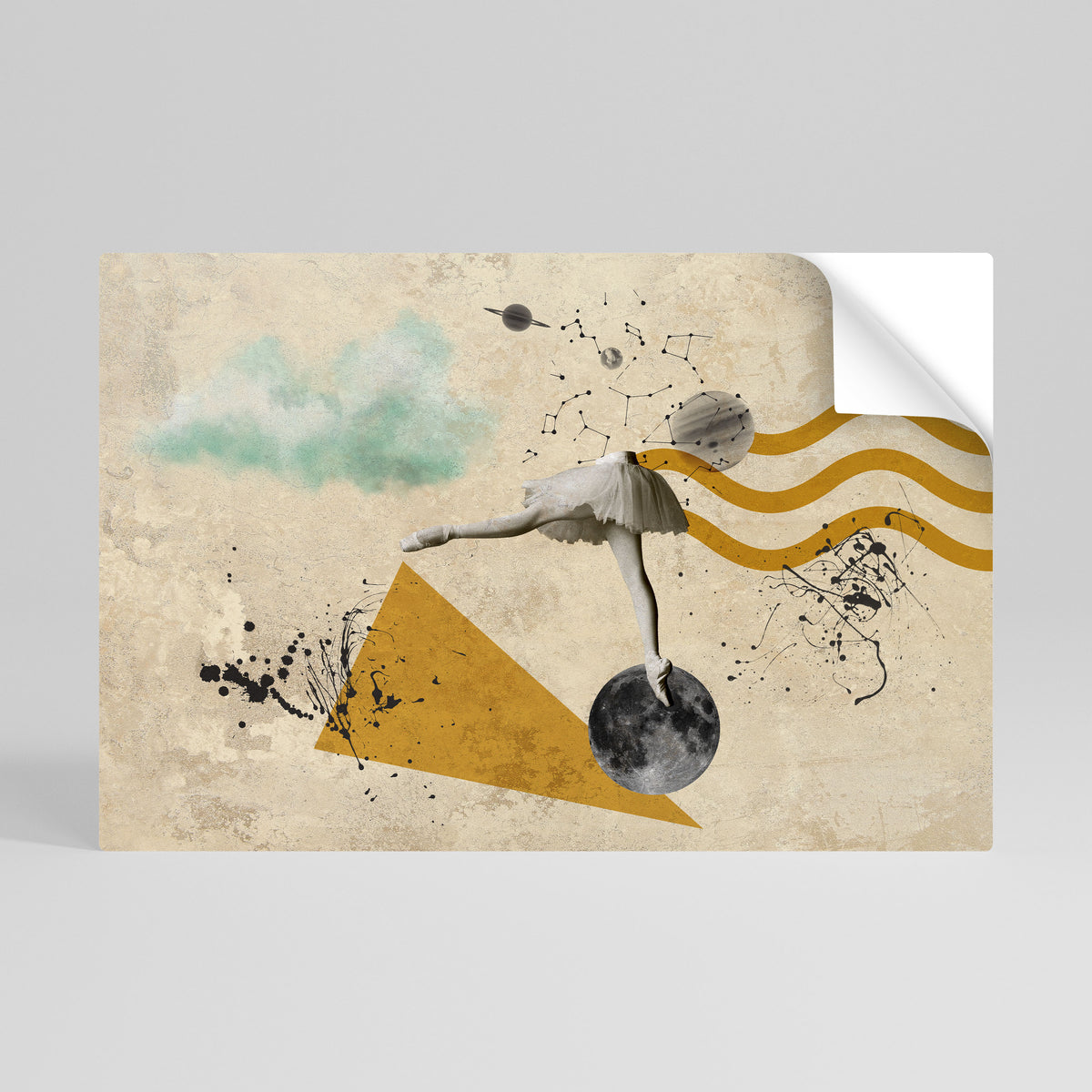 SHAPES OF BALLERINA Peel and Stick Horizontal Poster