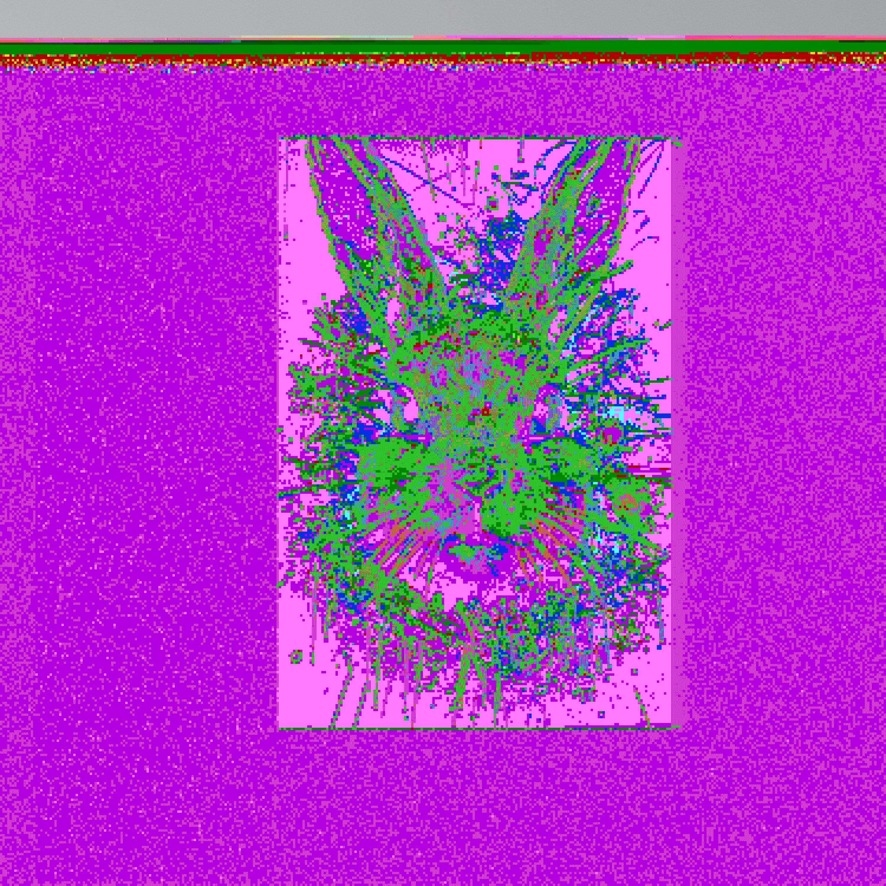 DON'T FOLLOW THE RABBIT Κατακόρυφος Πίνακας σε Καμβά