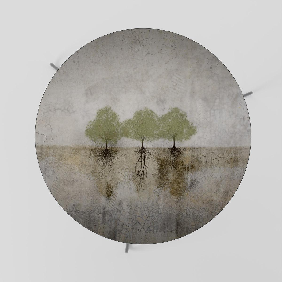 ROOTS OF TIME Coffee Table