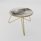 FROZEN IN TIME Coffee Table