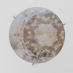 EARTHY ELEGANCE Coffee Table