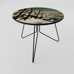 FROSTBITTEN ADVENTURES Τραπεζάκι σαλονιού