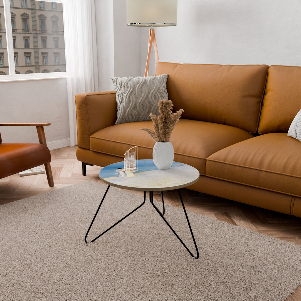 SUMMER EVENING ON SKAGEN'S BEACH Coffee Table 60