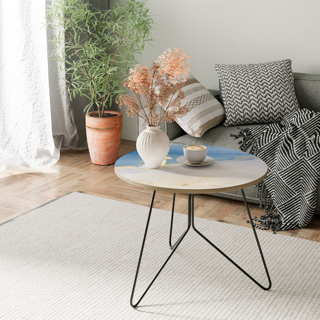 SUMMER EVENING ON SKAGEN'S BEACH Coffee Table 69