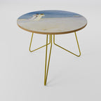 SUMMER EVENING ON SKAGEN'S BEACH Coffee Table