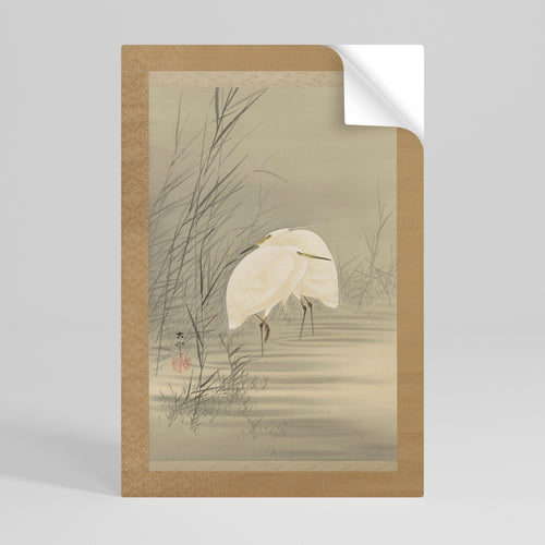 ZILVERREIGERS IN MOERAS Αυτοκόλλητη Αφίσα κάθετη