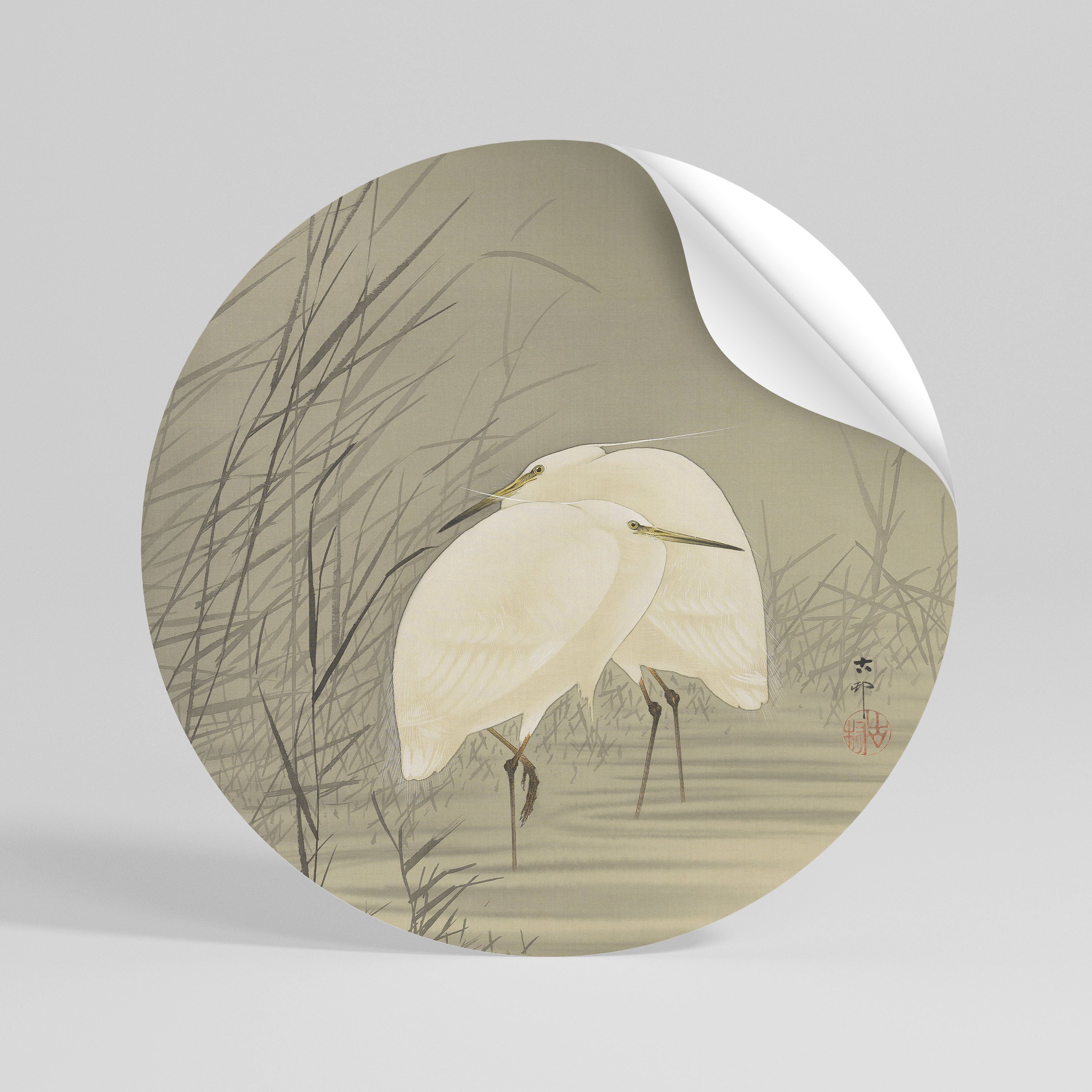 ZILVERREIGERS IN MOERAS Αυτοκόλλητη "Peel and Stick" Αφίσα στρογγυλή