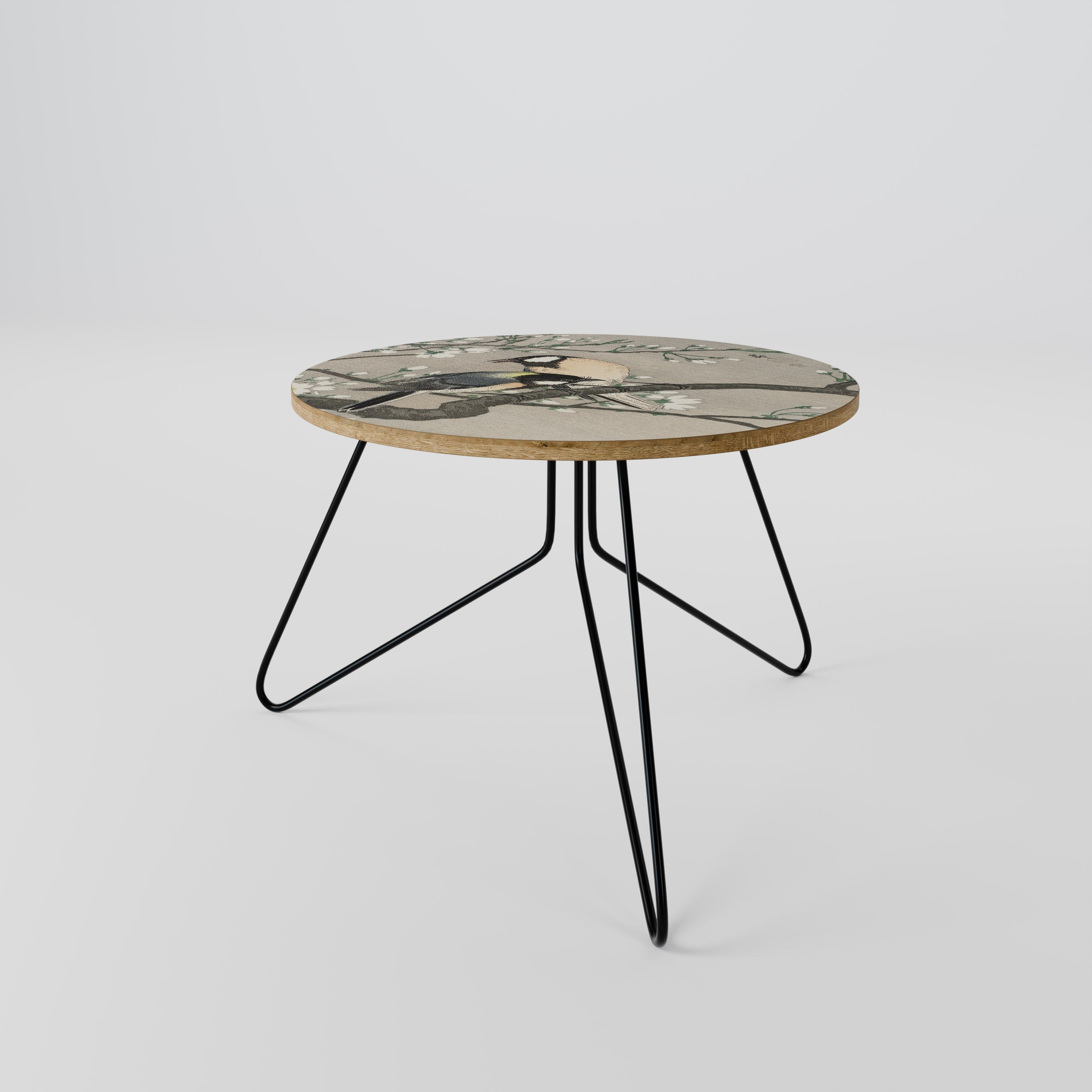 TITS ON CHERRY BRANCH Coffee Table 60