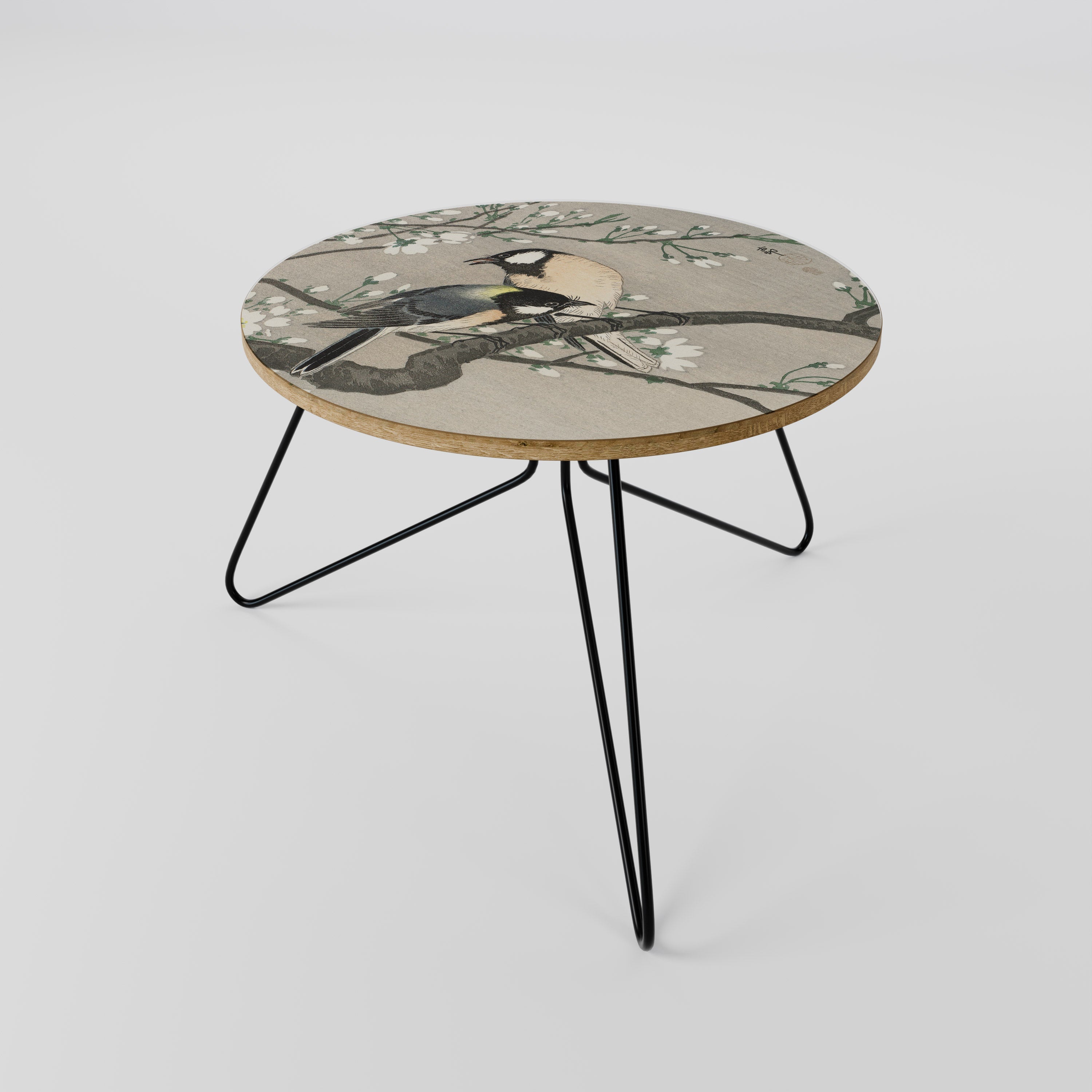 TITS ON CHERRY BRANCH Coffee Table 60
