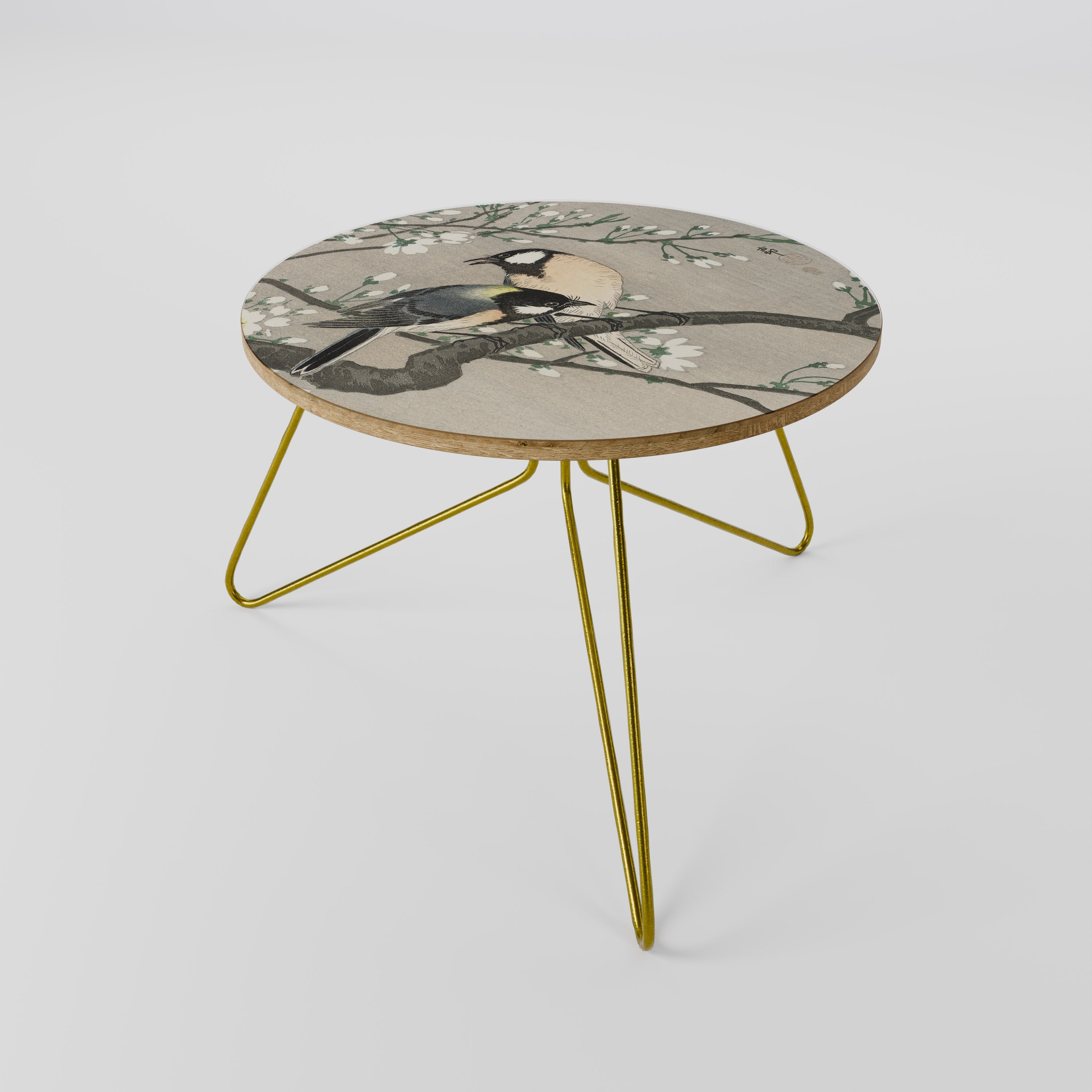 TITS ON CHERRY BRANCH Coffee Table 60