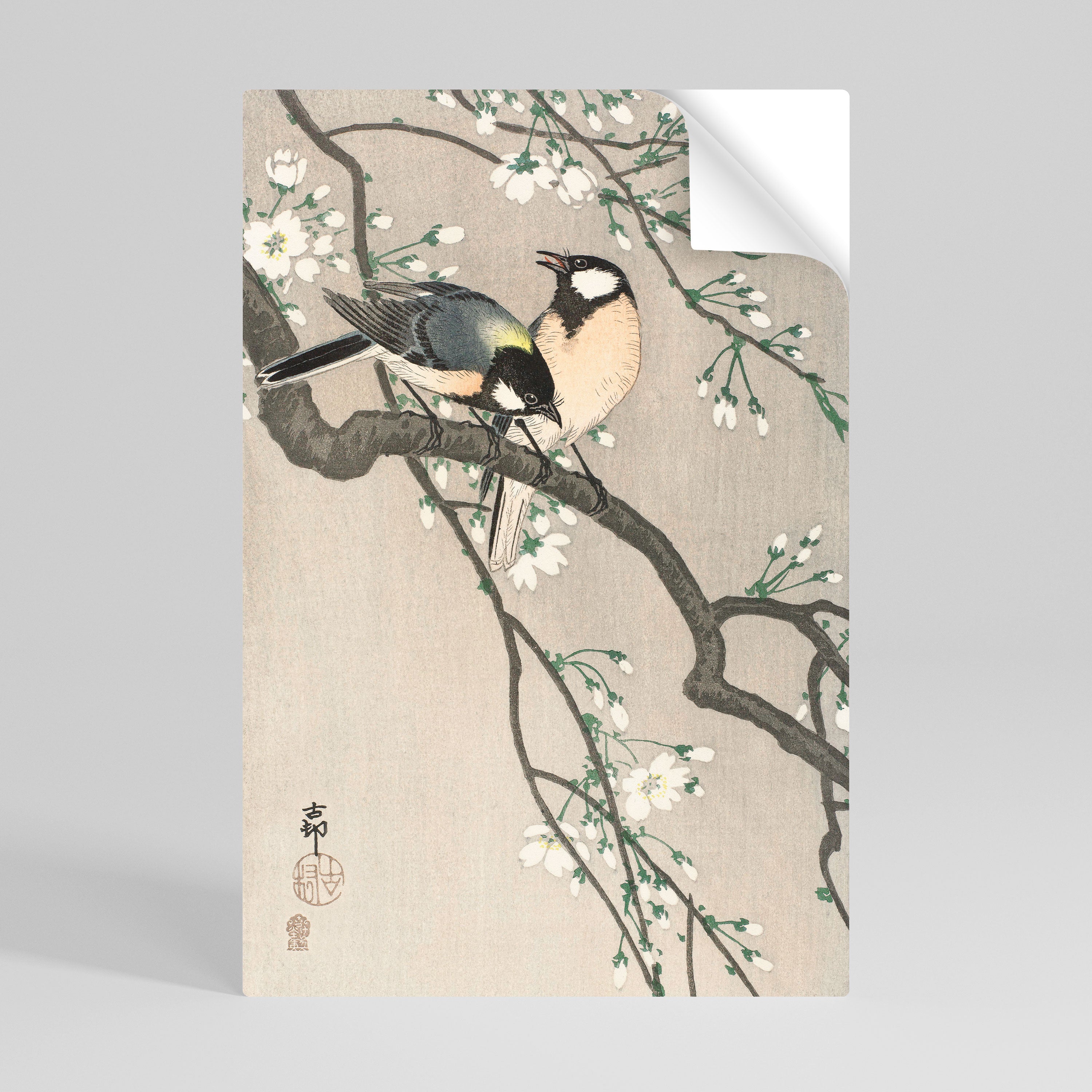 TITS ON CHERRY BRANCH Αυτοκόλλητη Αφίσα κάθετη