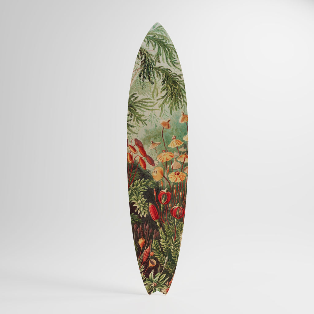 MUSCINAE LAUBMOOSE Surfboard Decorative Panel