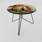 MYSTIC TOADSTOOL Coffee Table
