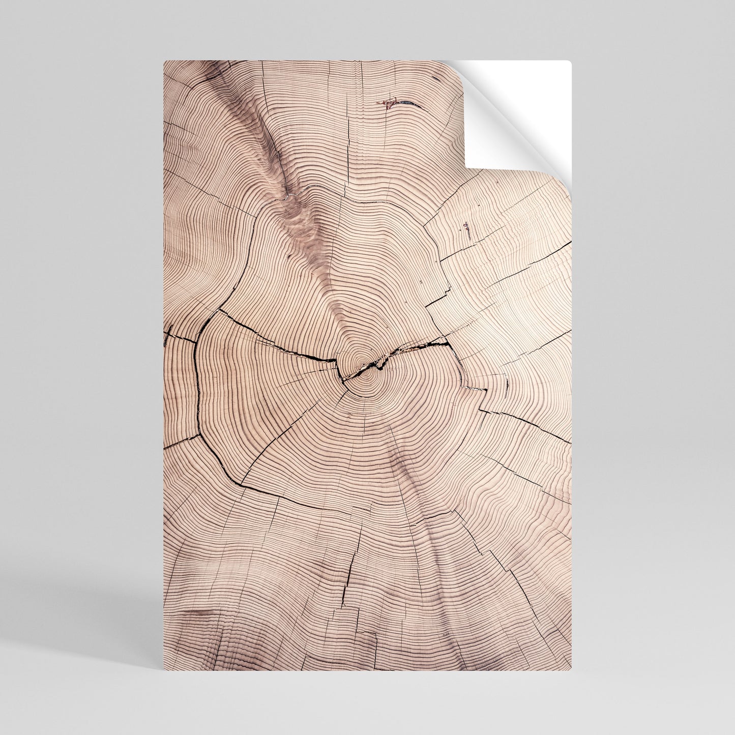 TIMEWORN RHYTHM Αυτοκόλλητη Αφίσα κάθετη