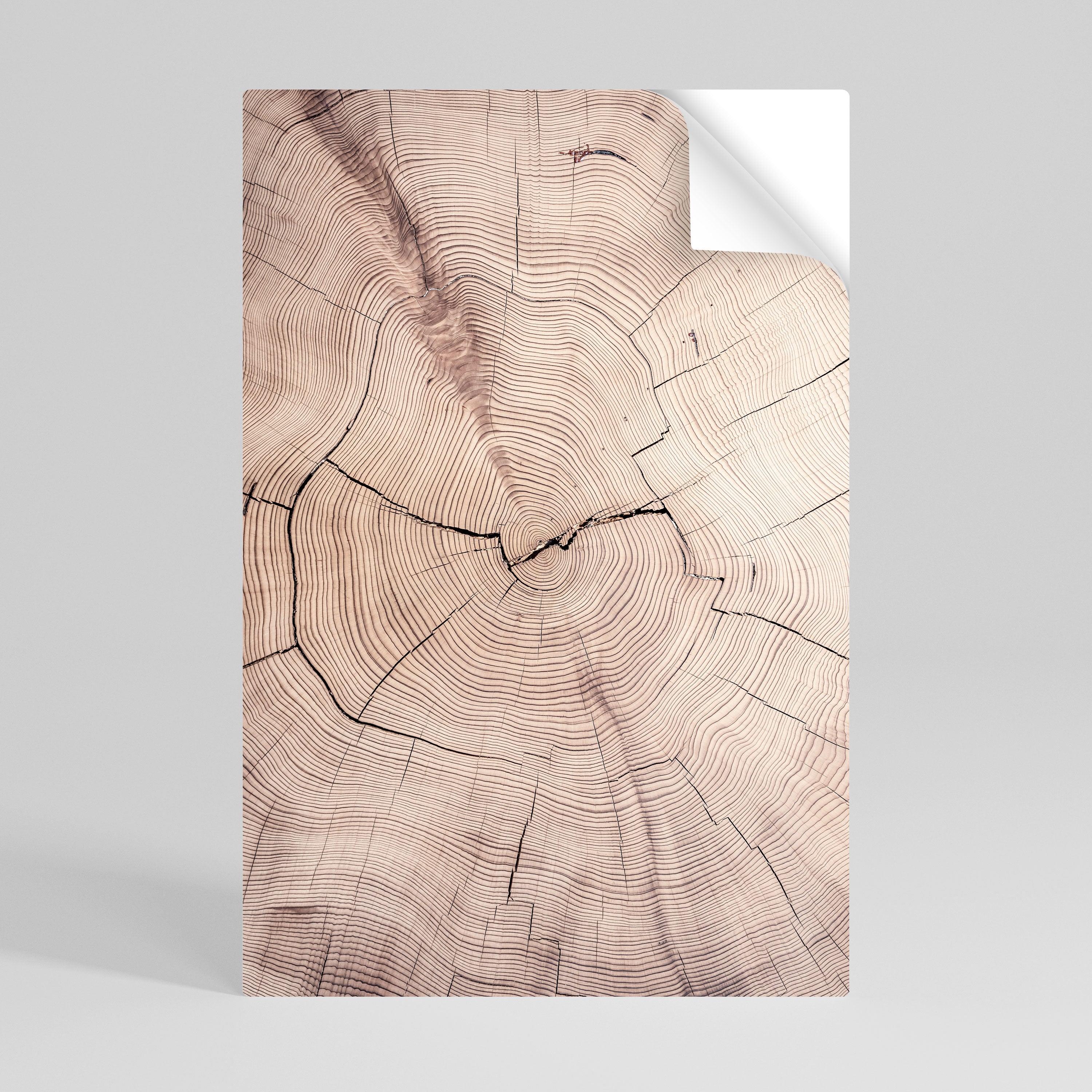 TIMEWORN RHYTHM Αυτοκόλλητη Αφίσα κάθετη