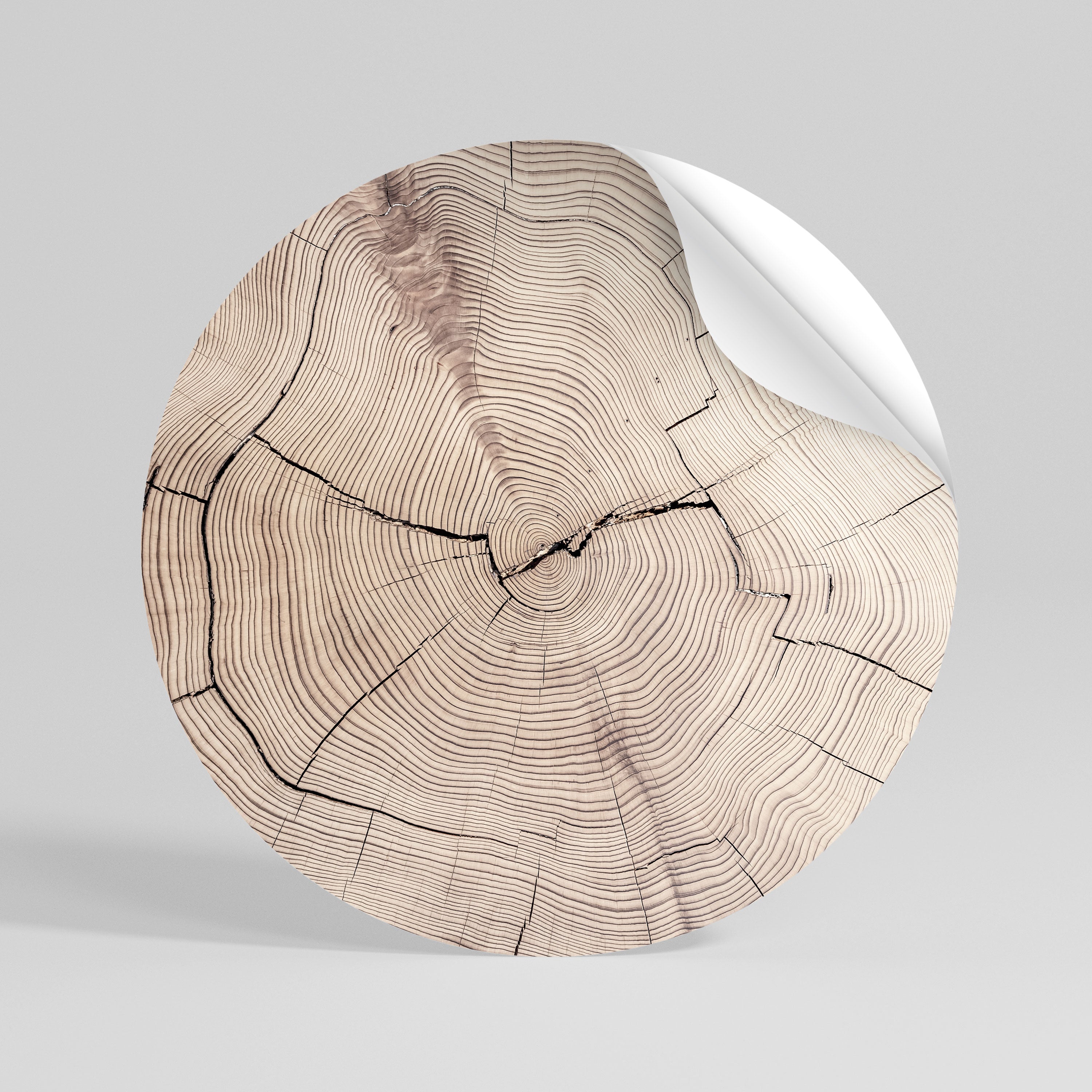 TIMEWORN RHYTHM Peel and Stick Round Sticker