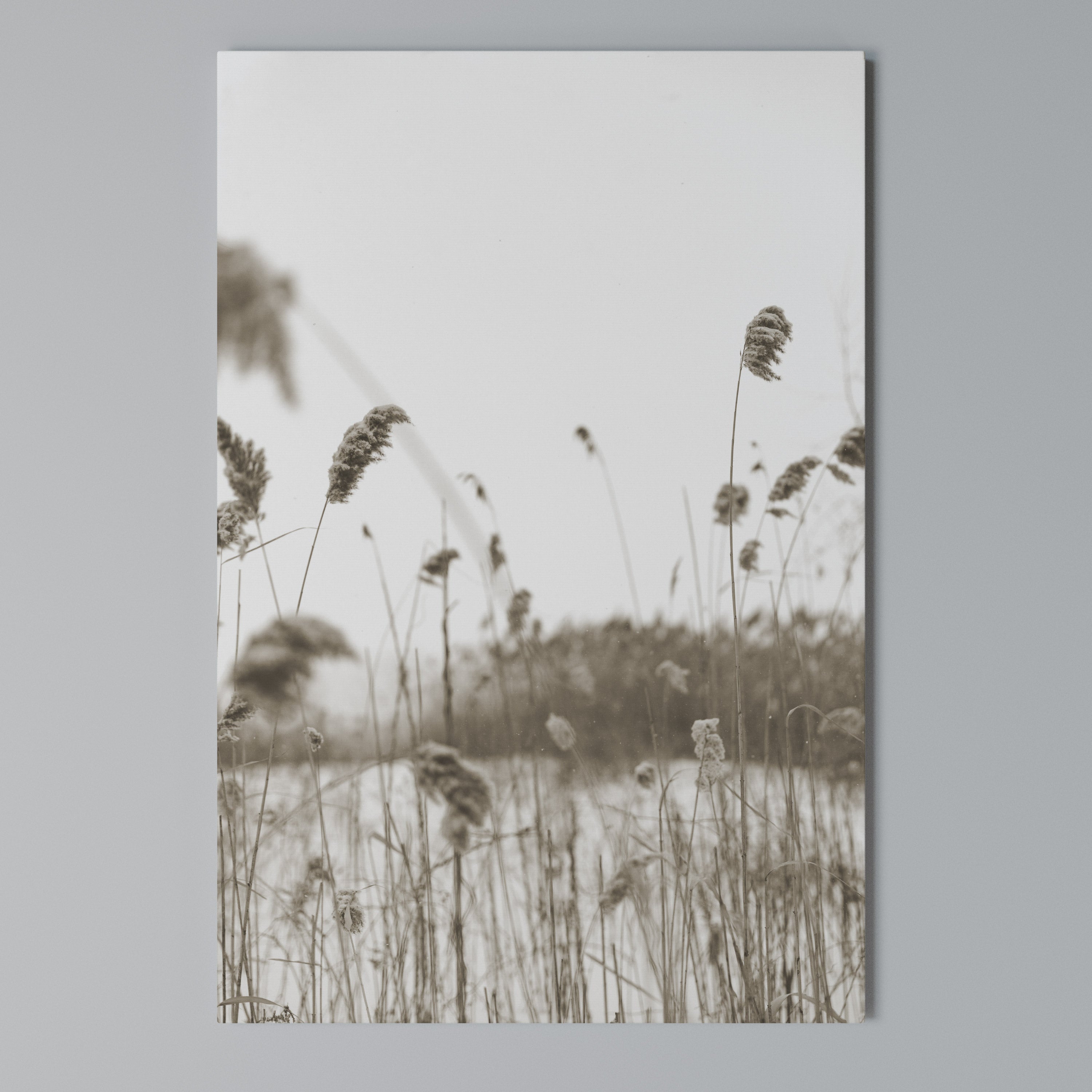 TIMELESS TUSSOCKS Κατακόρυφος Πίνακας σε Καμβά