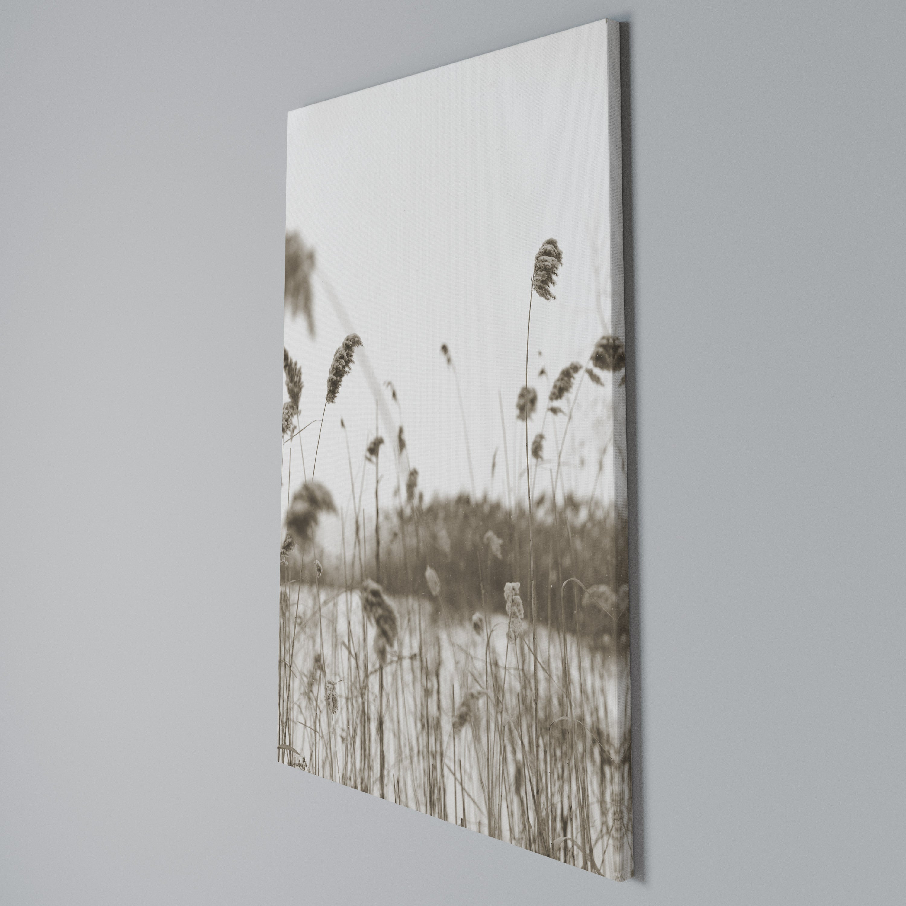 TIMELESS TUSSOCKS Κατακόρυφος Πίνακας σε Καμβά
