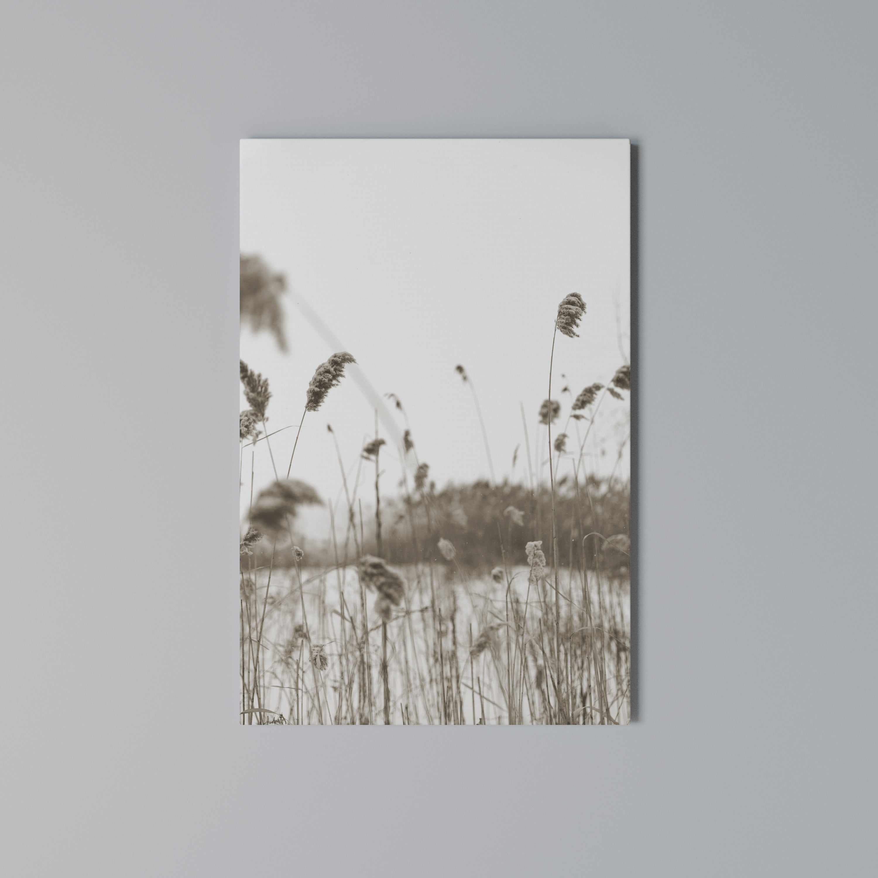 TIMELESS TUSSOCKS Κατακόρυφος Πίνακας σε Καμβά