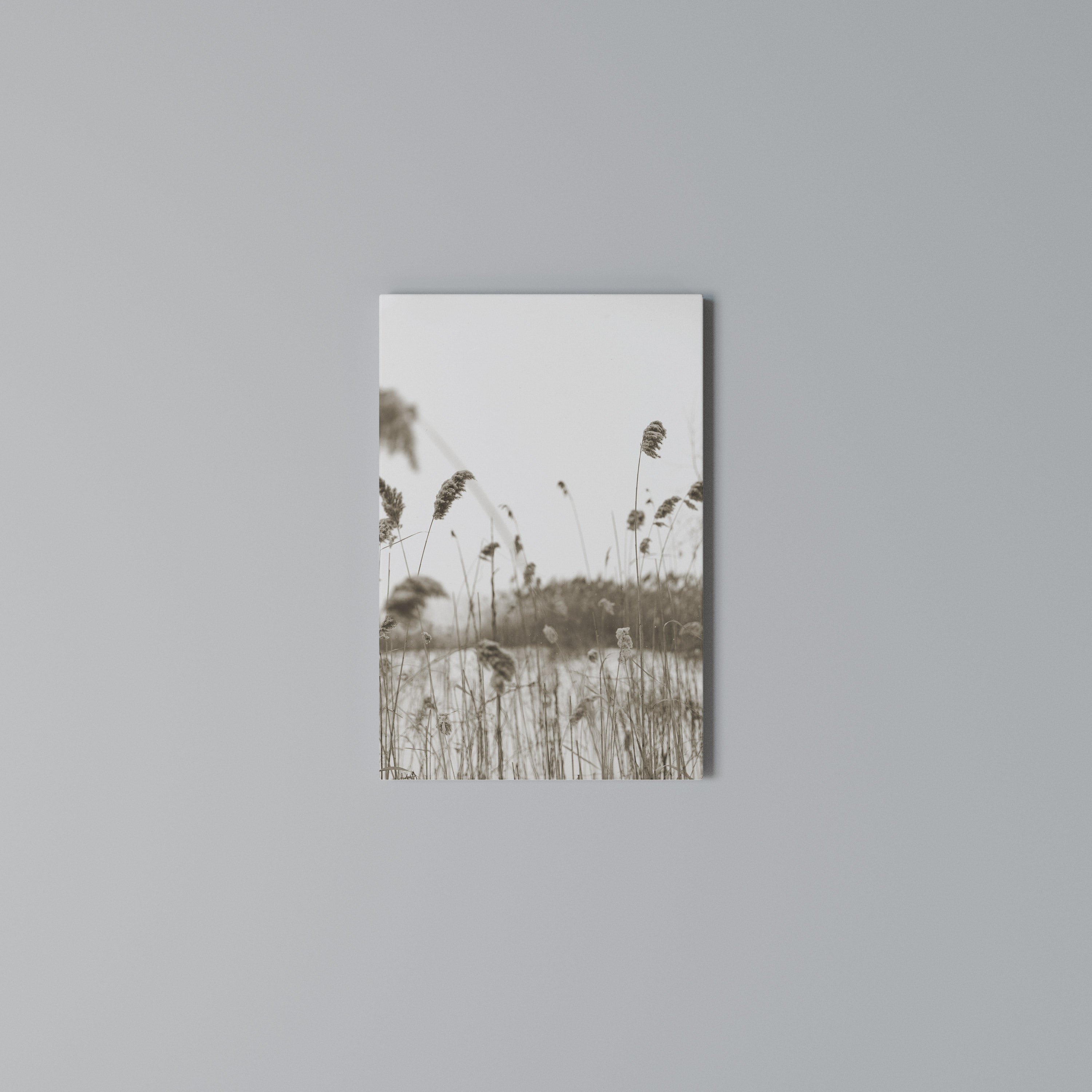 TIMELESS TUSSOCKS Κατακόρυφος Πίνακας σε Καμβά