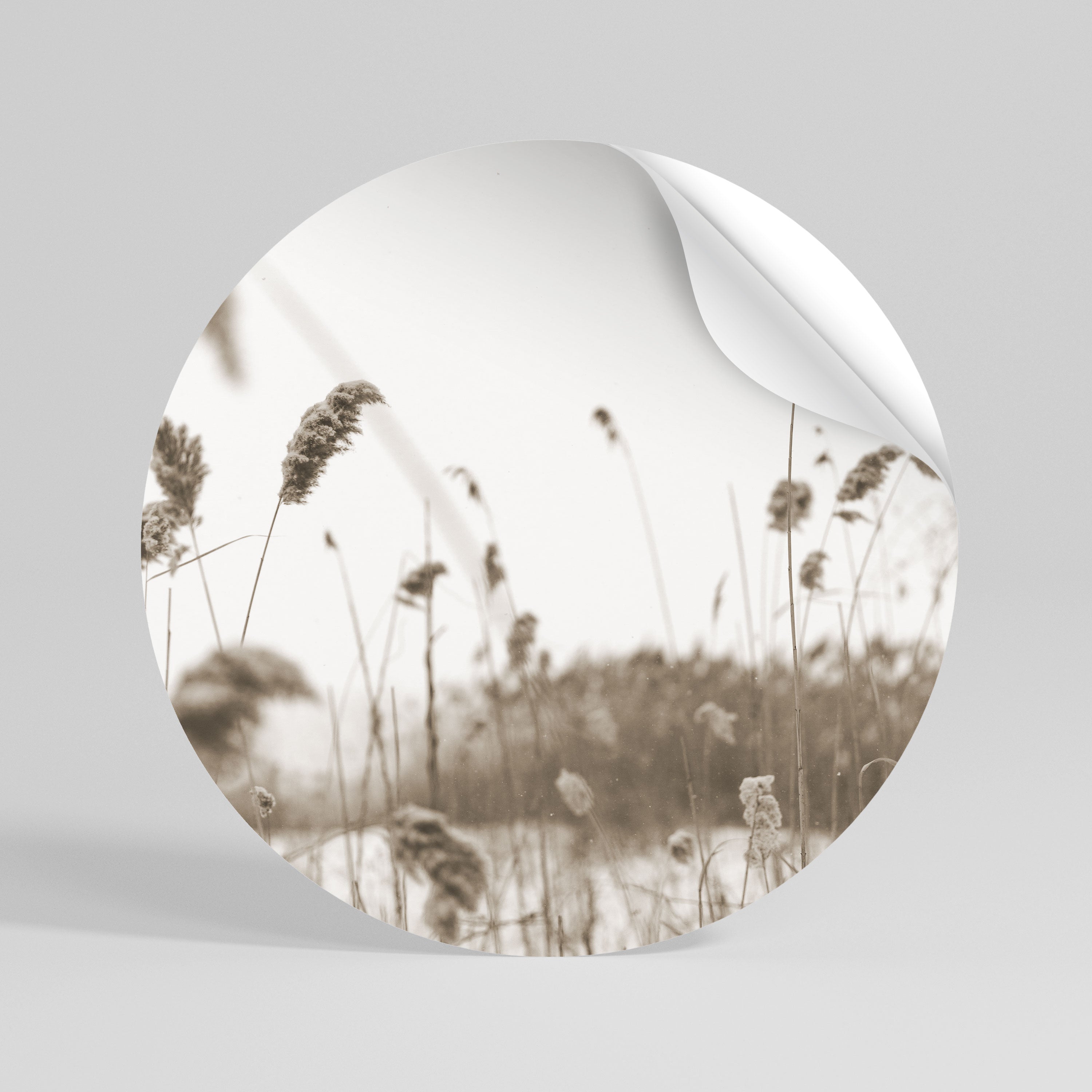 TIMELESS TUSSOCKS Peel and Stick Round Sticker