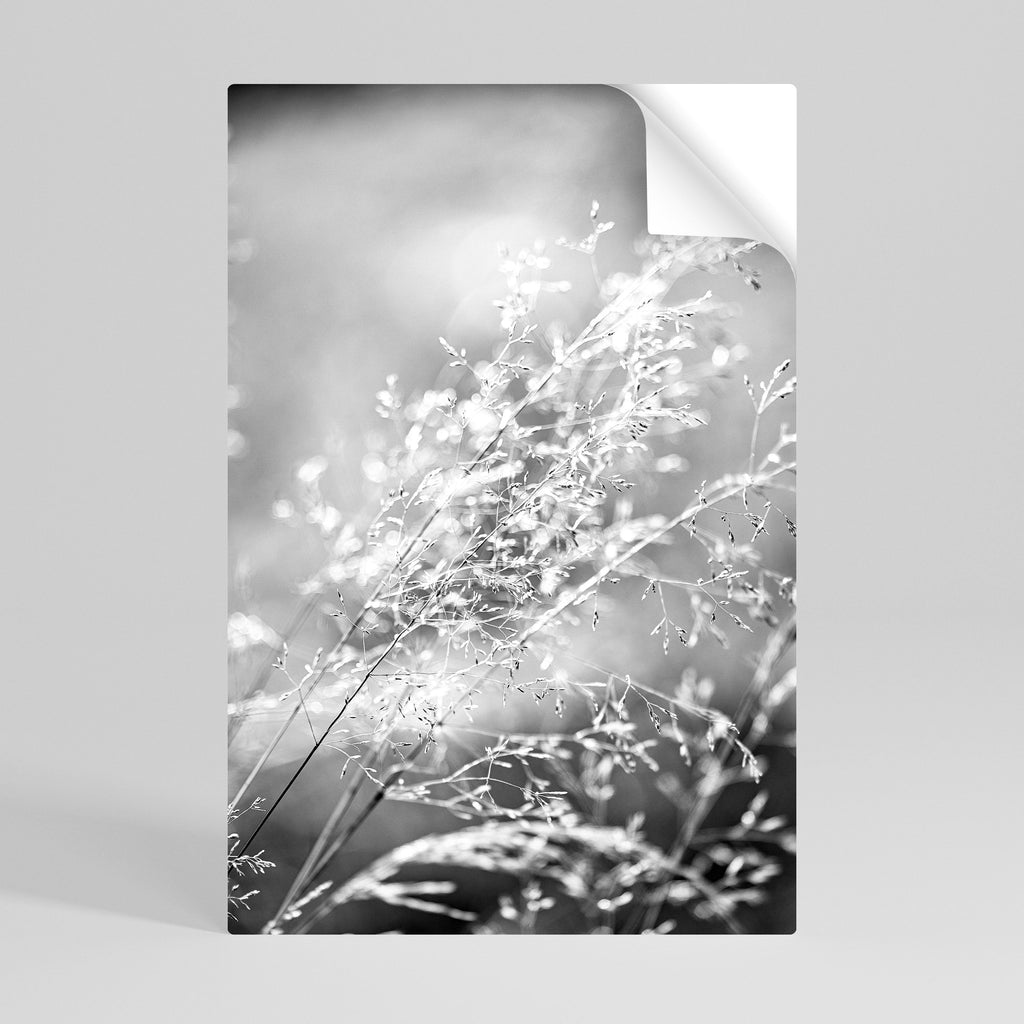 Αφίσα LIGHTSWEPT HARMONY με κόλλα και αυτοκόλλητο