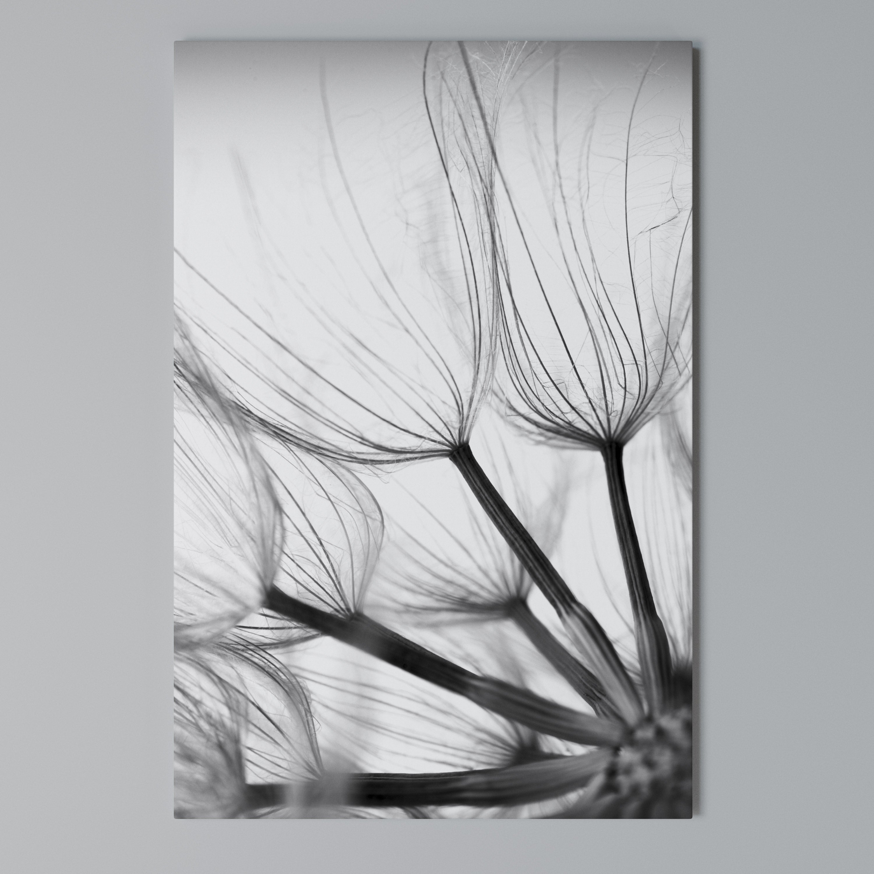 SILKEN FLIGHT Κατακόρυφος Πίνακας σε Καμβά