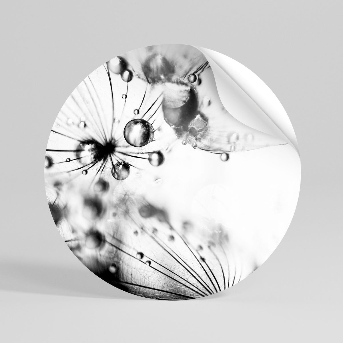 ELEGANT DROPLETS Αυτοκόλλητη Αφίσα στρογγυλή