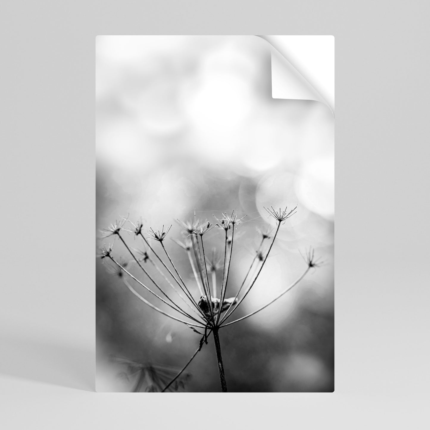 MINIMALIST BLOOM Αυτοκόλλητη Αφίσα κάθετη