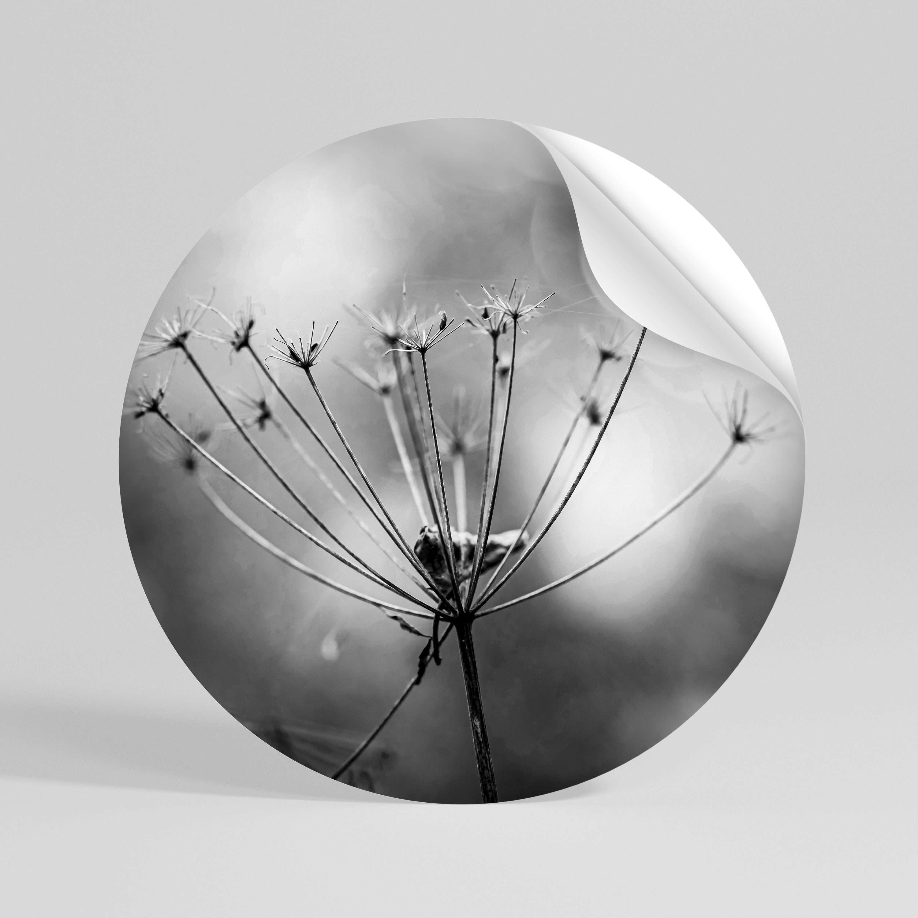 MINIMALIST BLOOM Peel and Stick Round Sticker