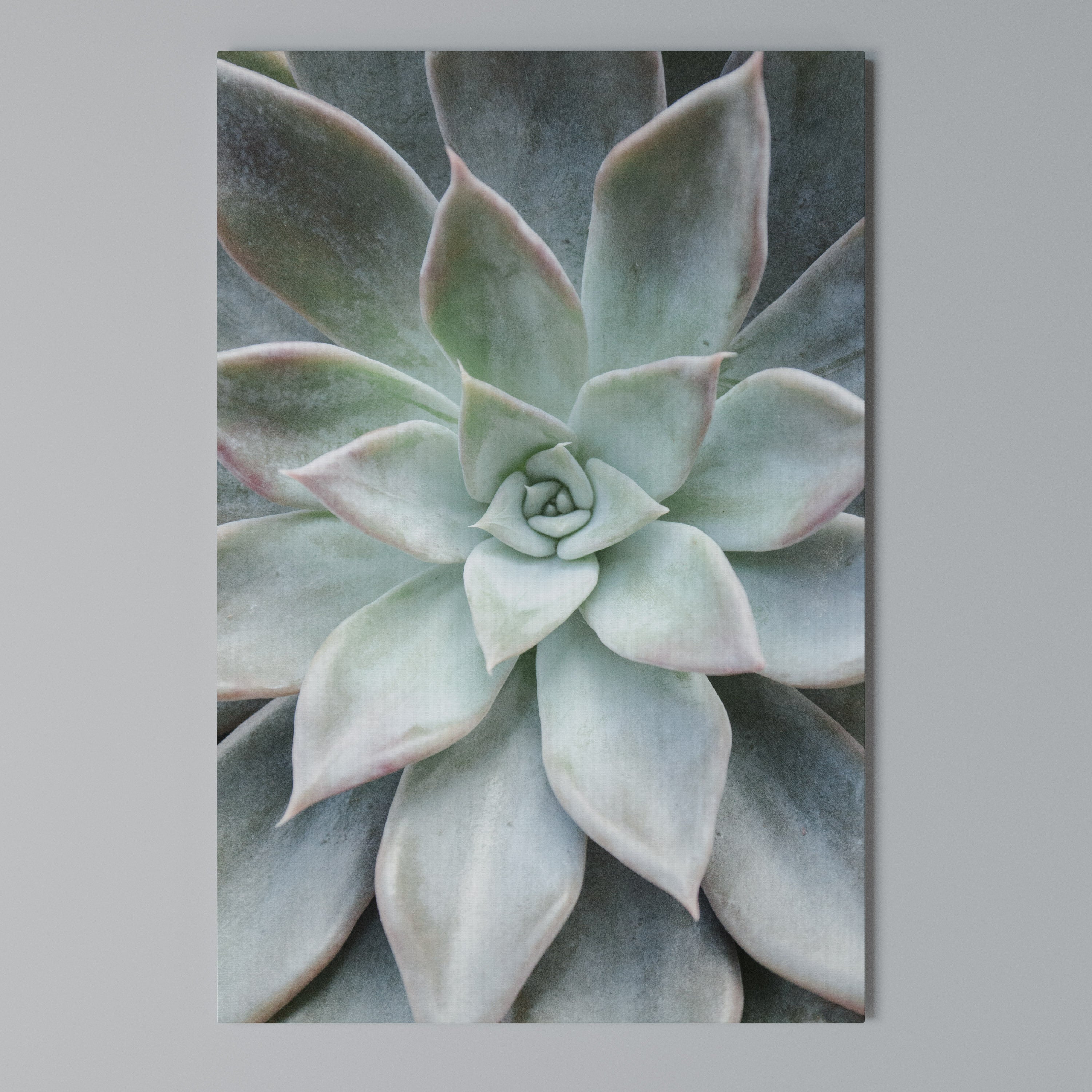 GEOMETRIC GARDEN MAGIC Κατακόρυφος Πίνακας σε Καμβά