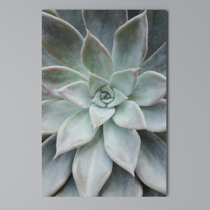 GEOMETRIC GARDEN MAGIC Κατακόρυφος Πίνακας σε Καμβά